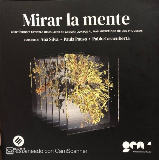 Mirar la mente | Ana SIlva/Paula Pouso/ Pablo Casacuberta