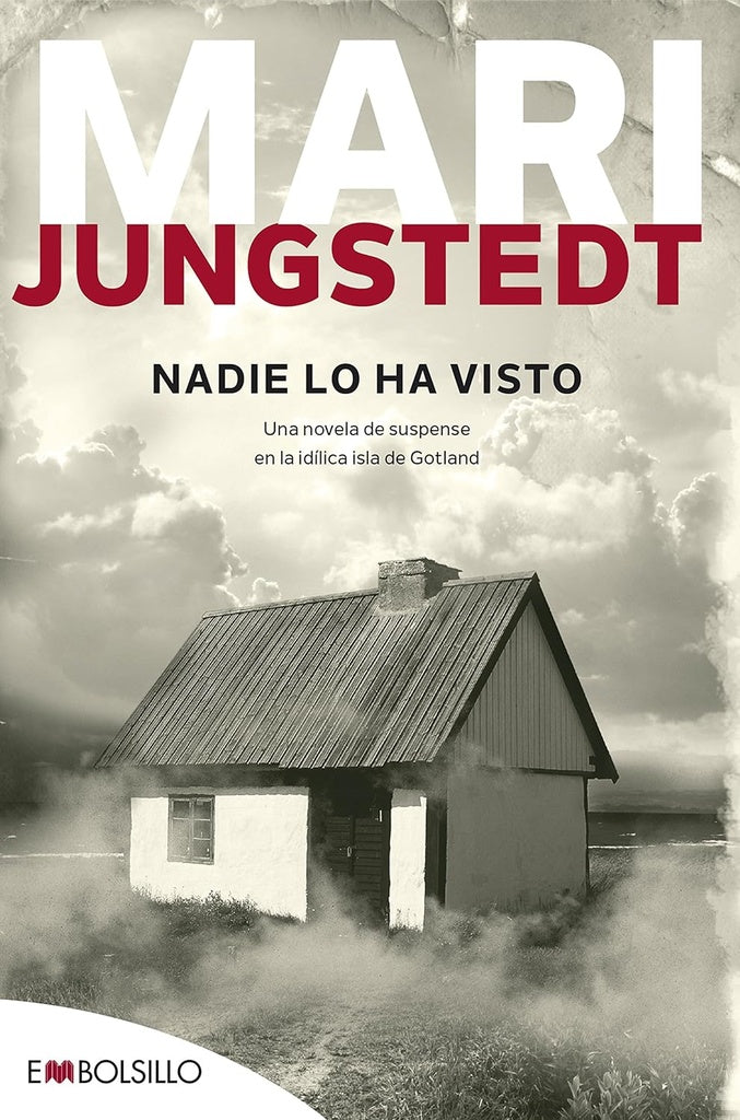 Nadie lo ha visto | MARI JUNGSTEDT