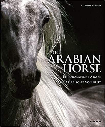 The Arabian Horse. Spectacular Places | GABRIELE BOISELLE