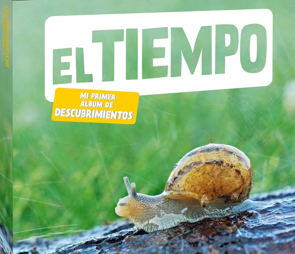 El templo | Andana