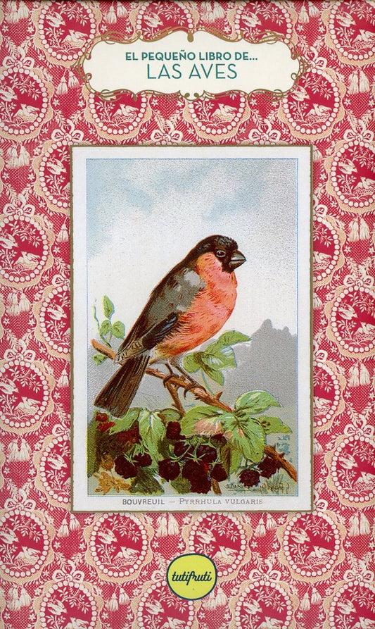 Las aves | ANNE JANKÉLIOWITCH