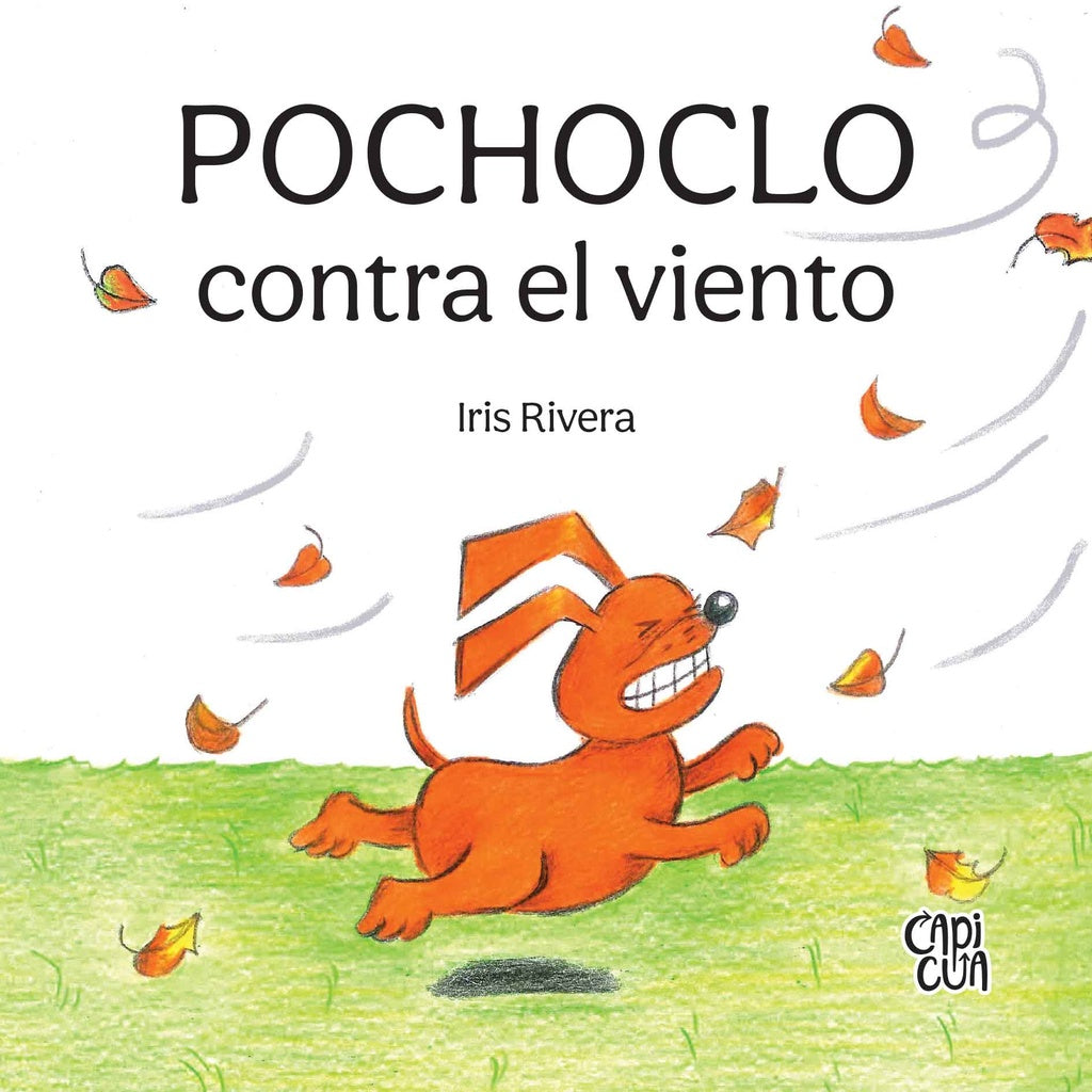 Pochoclo contra el viento | IRIS RIVERA