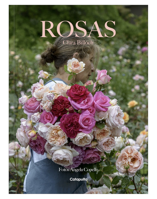 Rosas | CLARA BILLOCH