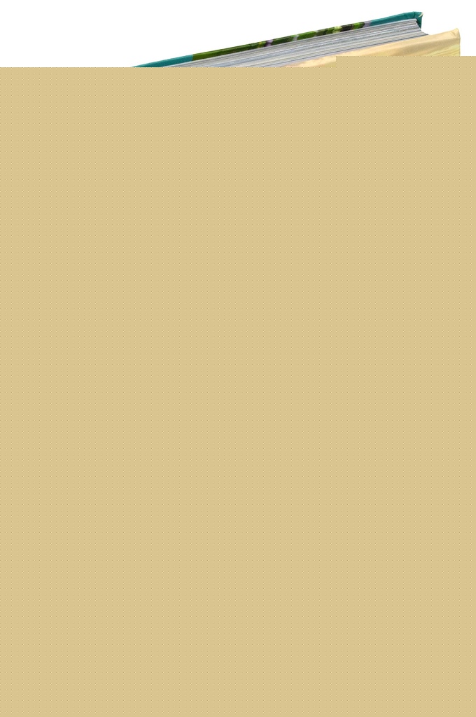 Brasil | SASSMANNSHAUSEN KATJA/ SPIELMANN ELLEN