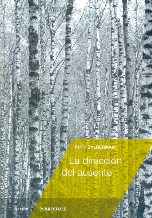 La dirección del ausente | RUTH ZYLBERMAN