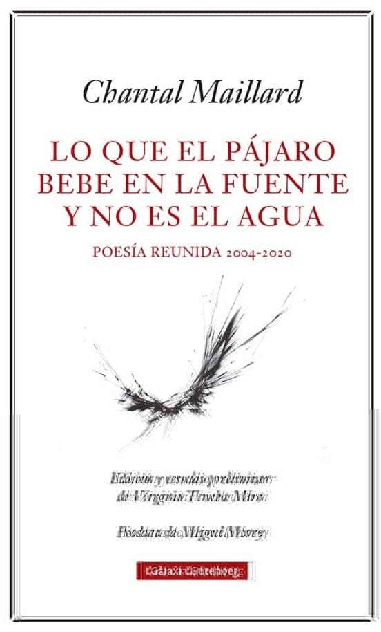 LO QUE EL PAJARO BEBE EN LA FUENTE NO ES | MAILLARD