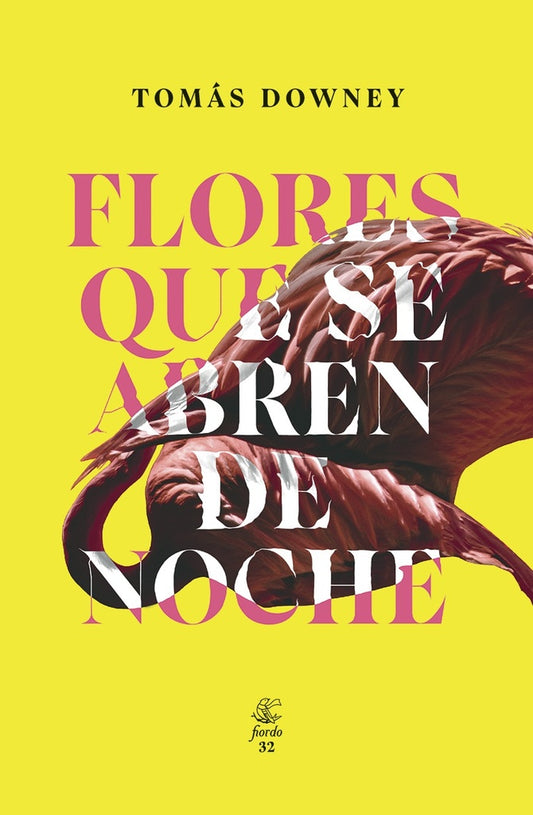 Flores que se abren de noche | Tomás Downey
