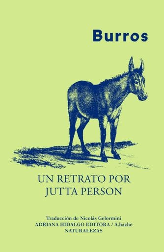 BURROS | JUTTA PERSON