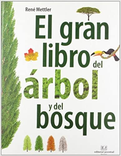 El gran libro del árbol y del bosque | René Mettler