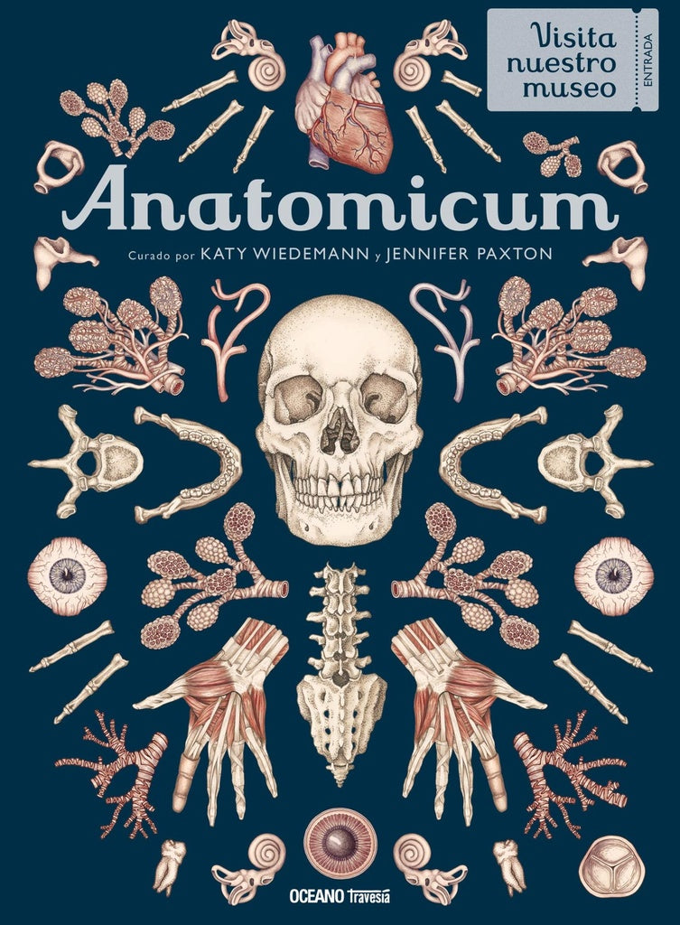 Anatomicum | Jennifer Z. Paxton
