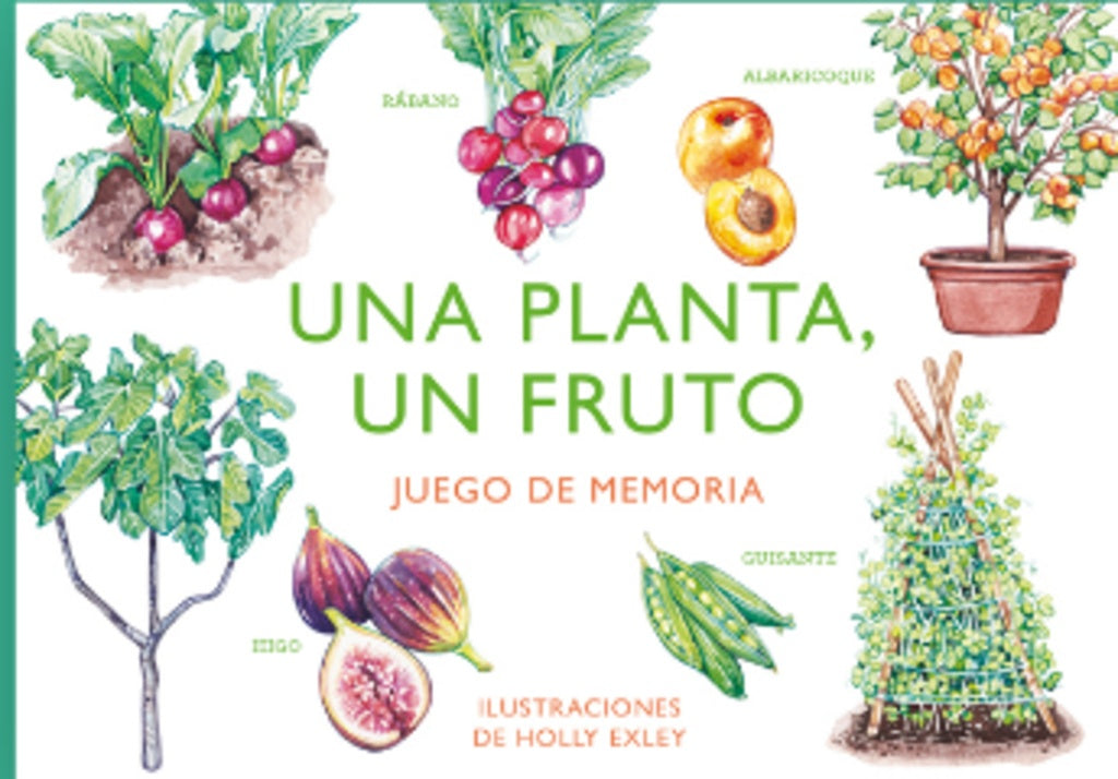 PLANTA, UN FRUTO, UNA | HOLLY EXLEY
