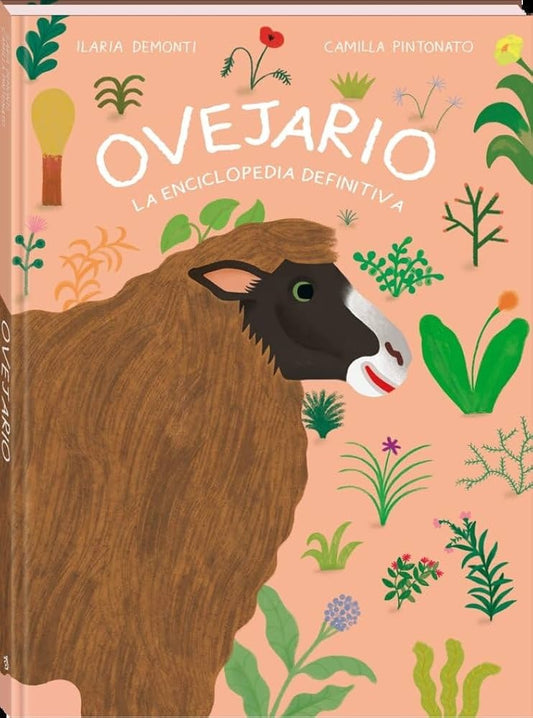 OVEJARIO | DEMONTI ILARIA