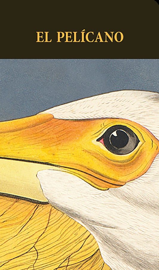 El pelicano | EDITH WHARTON