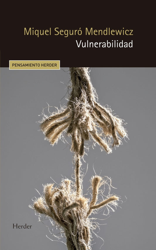 VULNERABILIDAD | SEGURO MENDLEWICZ MIQUEL