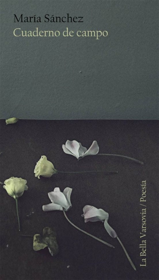 Cuaderno de campo | SANCHEZ RODRIGUEZ MARIA