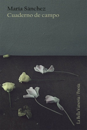 Cuaderno de campo | SANCHEZ RODRIGUEZ MARIA