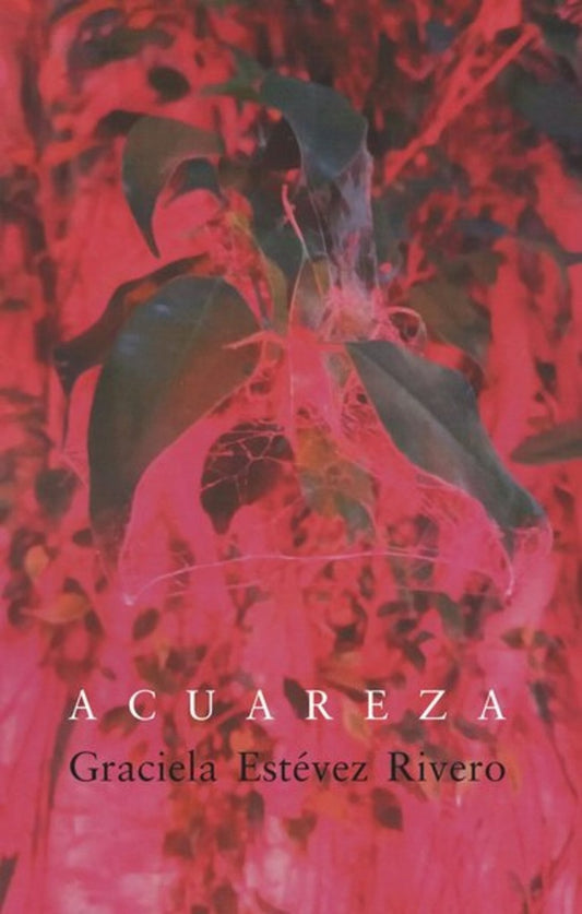 ACUAREZA | GRACIELA ESTEVEZ RIVERO