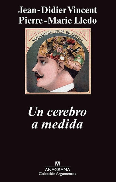 CEREBRO A MEDIDA, UN | PIERRE-MARIE/ VINCENT  JEAN-DIDIER LLEDO