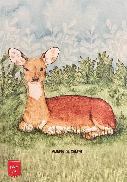 CUADERNO. ANIMALES URUGUAY