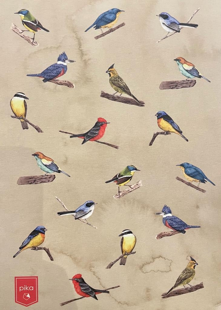 CUADERNO. AVES URUGUAY