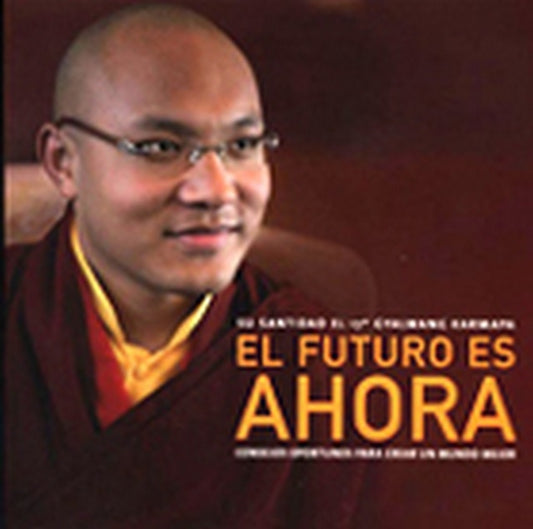 FUTURO ES AHORA, EL.  CONSEJOS OPORTUNOS PARA CREAR UN MUNDO MEJOR | OGYEN~ROURA  HERMINIA TRINLE DORJE