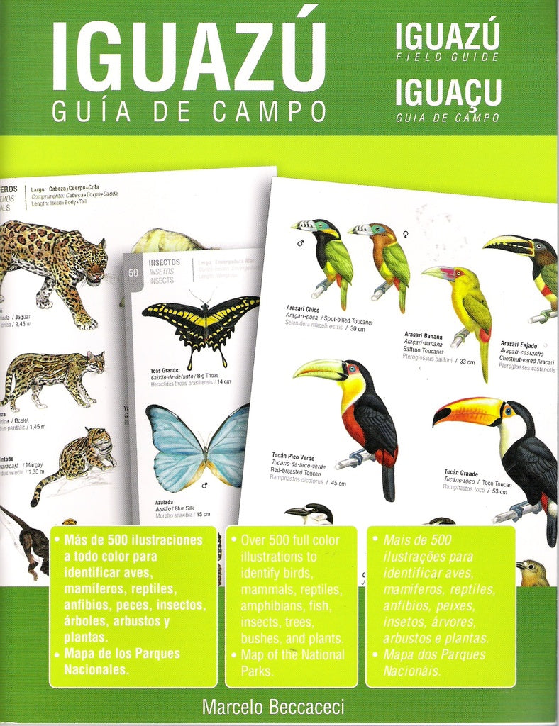 IGUAZU. GUIA DE CAMPO | MARCELO BECCACECI