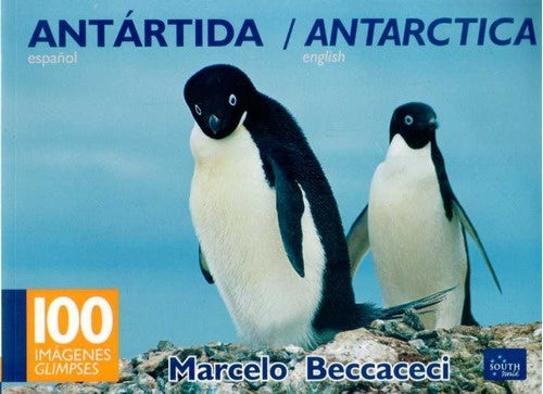 SOUTH AMERICA   BY CRUISE SHIP