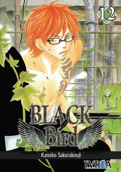 Black Bird 12 | Kanoko Sakurakouji