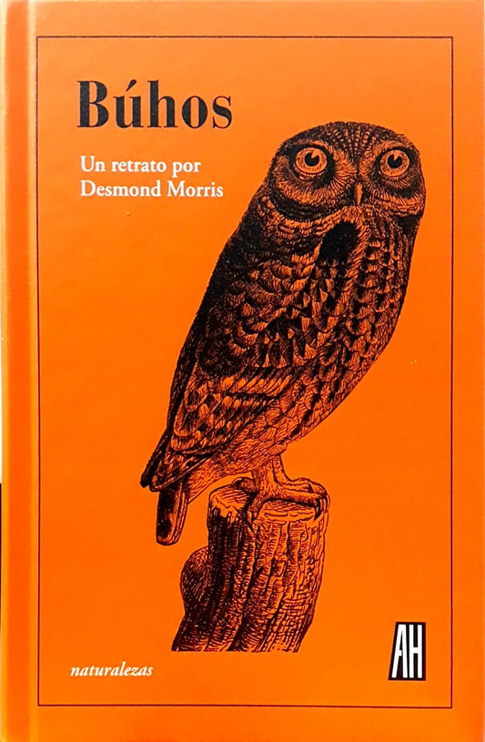 BUHOS. UN RETRATO DESMOND MORRIS | DESMOND MORRIS