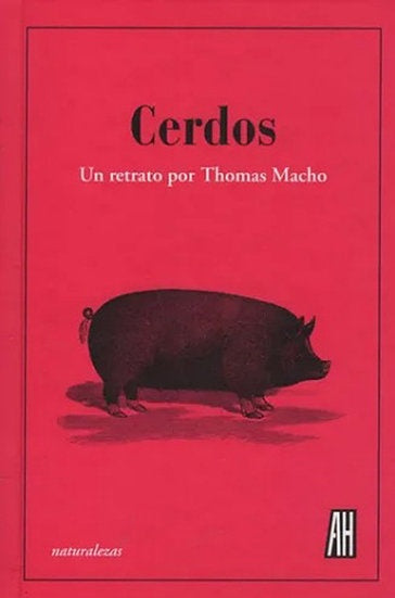 CERDOS. UN RETRATO POR THOMAS MACHO | MACHO THOMAS