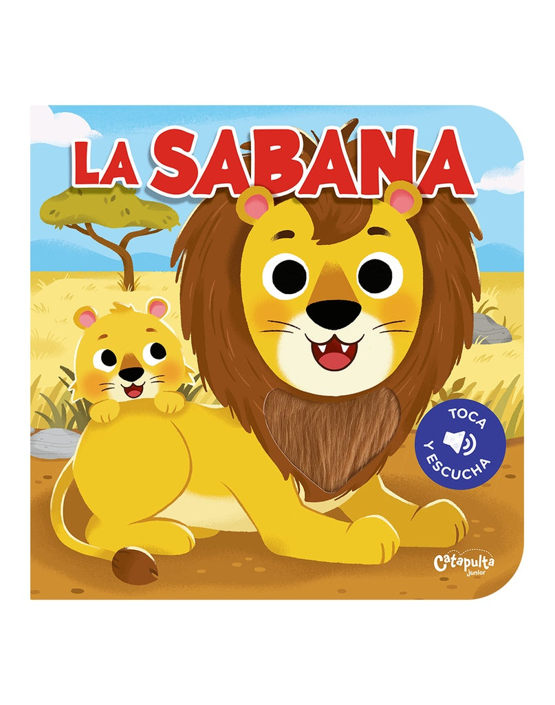 TOCA Y ESCUCHA - LA SABANA | CATAPULTA JUNIOR