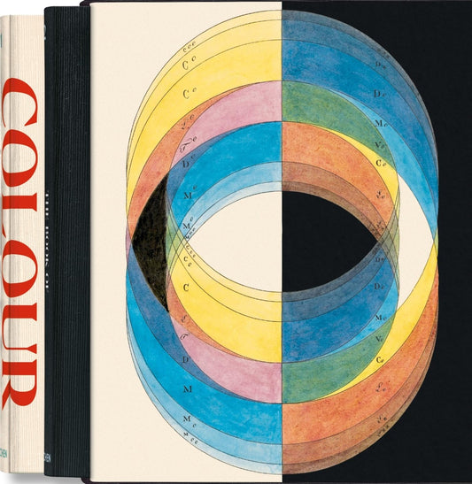 BOOK OF COULOR CONCEPTS  THE