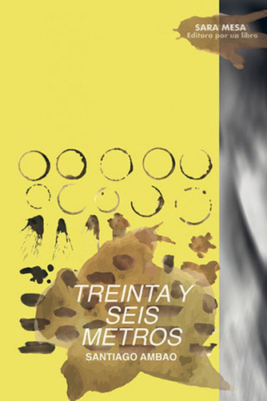 TREINTA Y SEIS METROS | SANTIAGO AMBAO