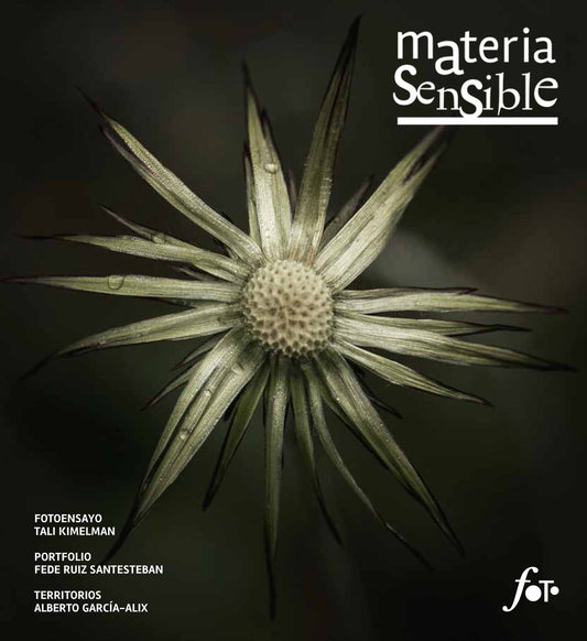 Materia sensible 16 | FOTOCLUB URUGUAYO