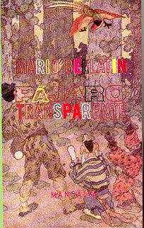 Pájaro transparente | MARIO BELLATIN