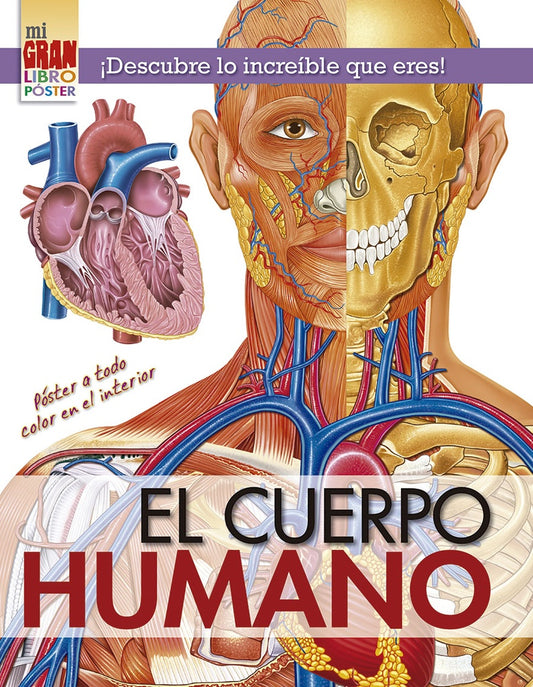 MI GRAN LIBRO POSTER: EL CUERPO HUMANO | Varios autores