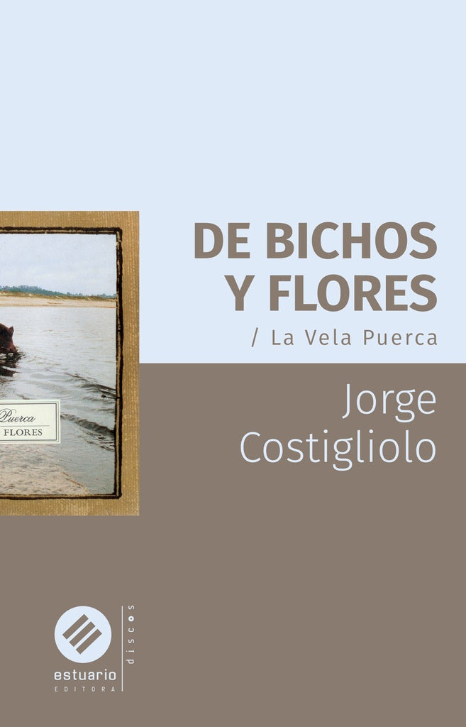 De bichos y flores | COSTIGLIOLO JORGE