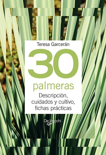 30 PALMERAS | GARCERAN TERESA