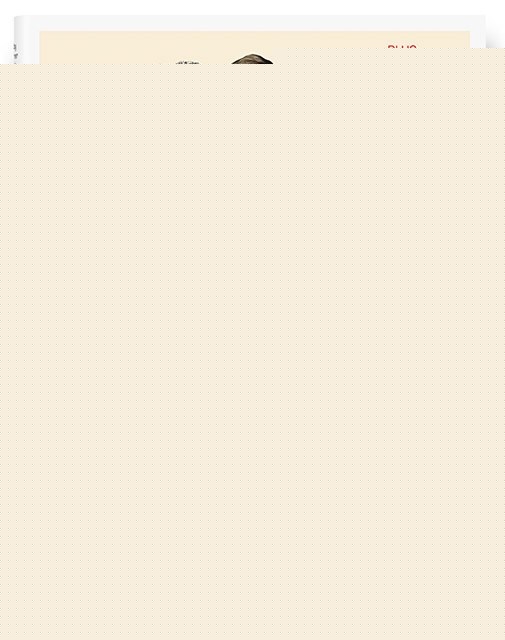 ART NOW! VOL. 4 | HOLZWARTH HANS WERNER