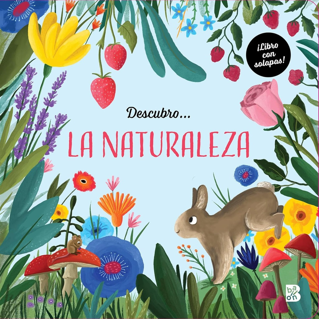 DESCUBRO... LA NATURALEZA