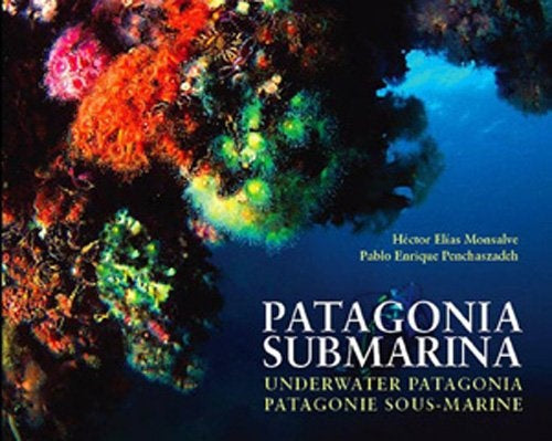 PATAGONIA SUBMARINA | MONSALVE HECTOR ELIAS/PENCHASZADEH PABLO ENRIQUE