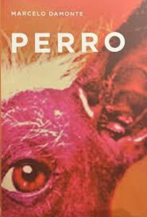 PERRO | MARCELO DAMONTE