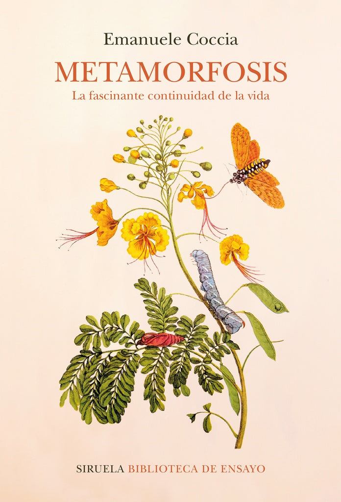 METAMORFOSIS. FASCINANTE CONTINUIDAD DE LA VIDA, LA | EMANUELA COCCIA