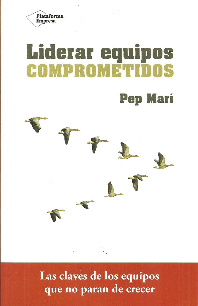 Liderar equipos comprometidos | Marí