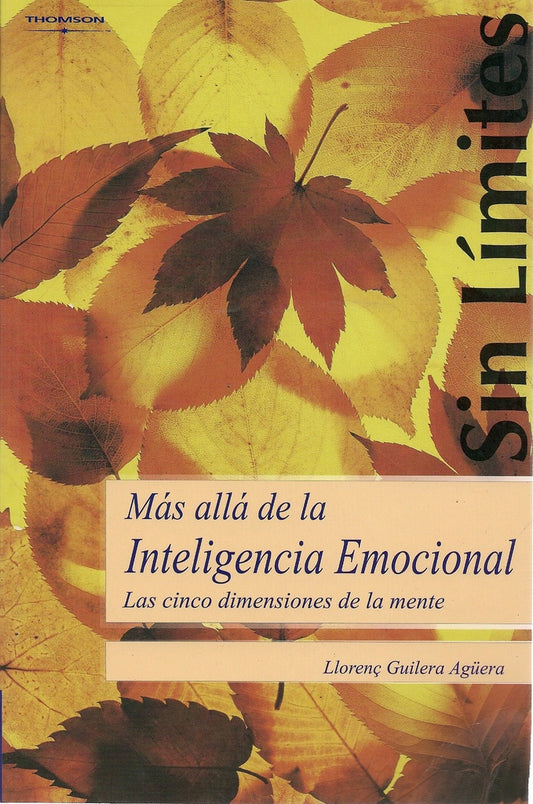 Más allá de la Inteligencia emocional | Guilera