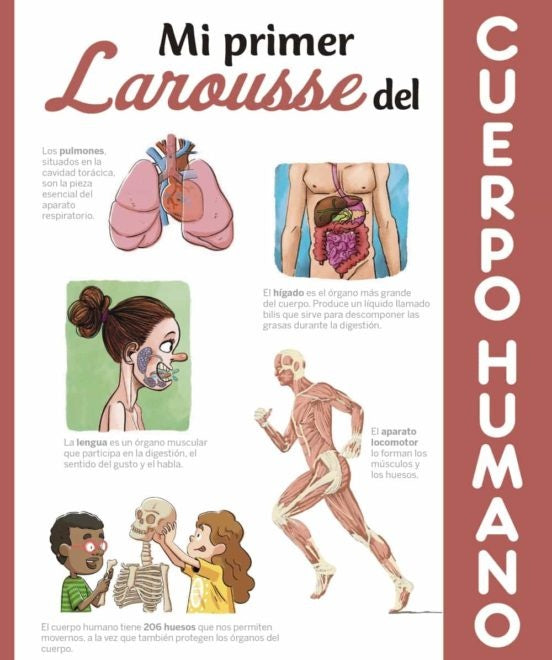 Mi primer Larousse del cuerpo humano | Varios autores