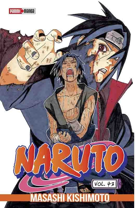 Naruto 43 | Kishimoto
