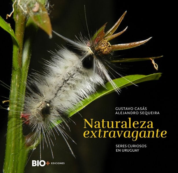 NATURALEZA EXTRAVAGANTE | GUSTAVO/ SEQUEIRA  ALEJANDRO CASAS
