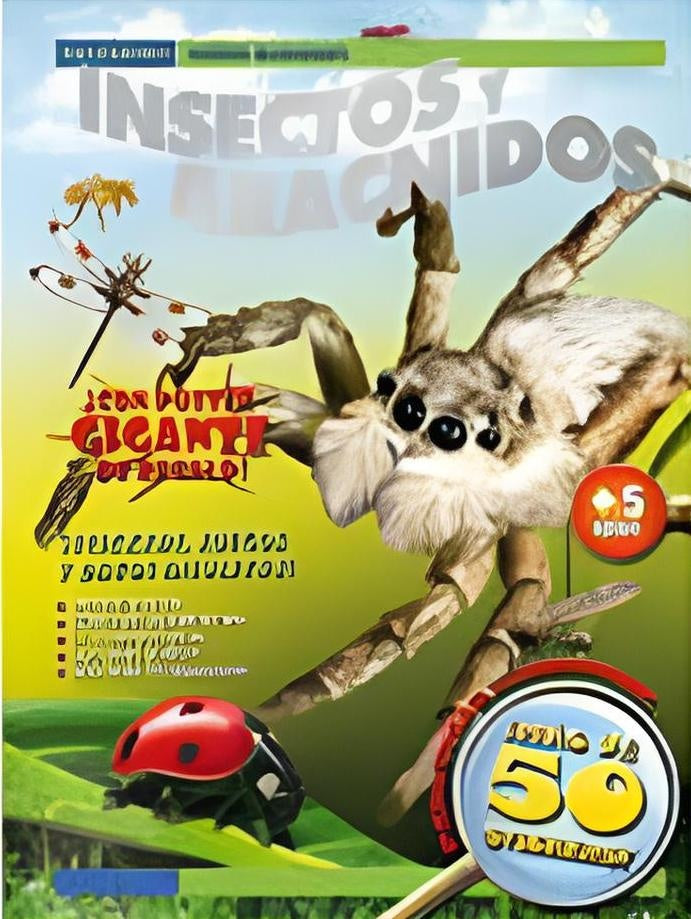 Insectos y arácnidos | Varios autores