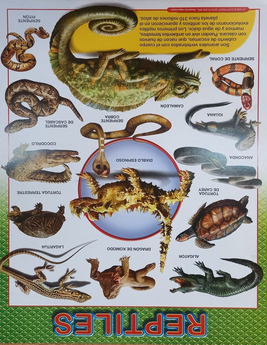 LAMINA - REPTILES | Carton 43x56